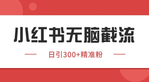 小红书截流同行客源,独家野路子获客玩法 日引200+暴力获客【揭秘】-富爸爸项目圈