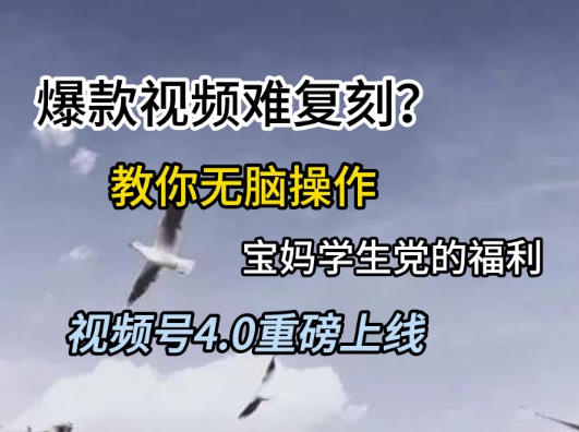 视频号4.0重磅上线,爆款视频难复刻?教你无脑操作宝妈学生党的福利【揭秘】-富爸爸项目圈