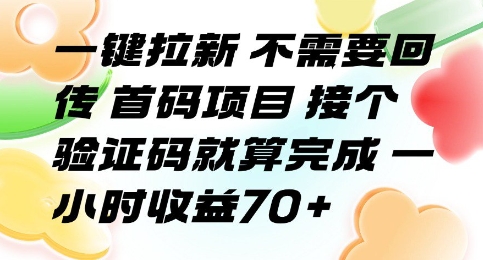 一键拉新 不需要回传 首码项目 接个验证码就算完成 一小时收益70+【揭秘】-富爸爸项目圈
