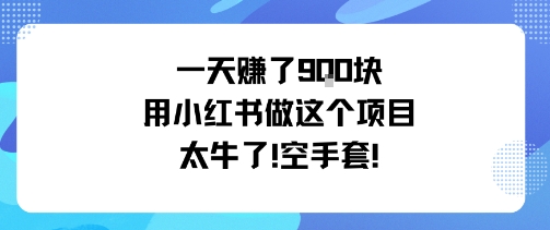 一天挣了9张用小红书做这个项目太牛了,空手套-富爸爸项目圈