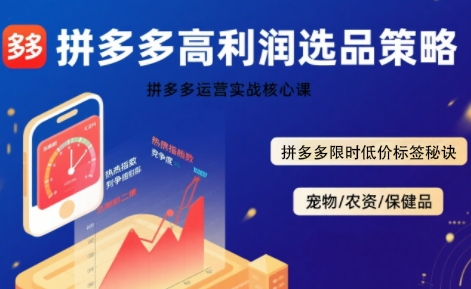 拼多多选品暴利技术实战课,拼多多高利润选品策略,拼多多限时低价标签秘诀-富爸爸项目圈
