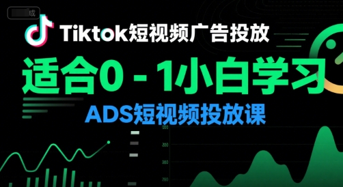 Tiktok短视频广告投放,适合0-1小白学习ADS短视频投放课-富爸爸项目圈