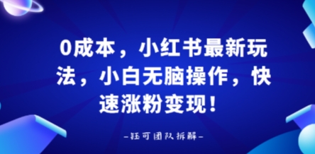 0成本,小红书最新玩法,小白无脑操作,快速涨粉变现-富爸爸项目圈