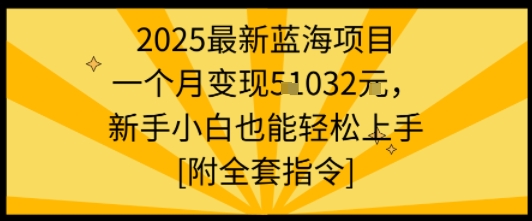 2025最新蓝海项目一个月变现1w+新手小白也能轻松上手【附全套指令】-富爸爸项目圈