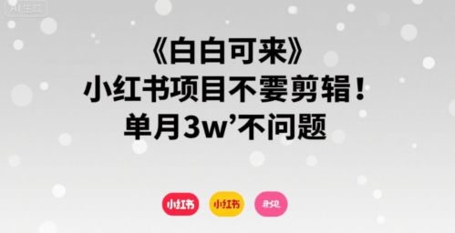 小白可来 小红书项目不需要剪辑 单月3w不是问题-富爸爸项目圈