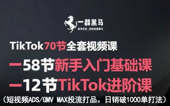 TikTok全套视频课,新手入门+进阶课,短视频ADS-GMV MAX投流打品,日销破1000单打法-富爸爸项目圈