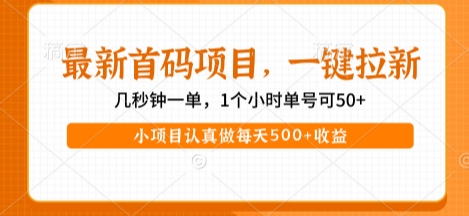 最新首码项目,操作最简单,收益高,一键拉新,1个小时单号可50+,小项目认真做每天5张+收益【揭秘】-富爸爸项目圈