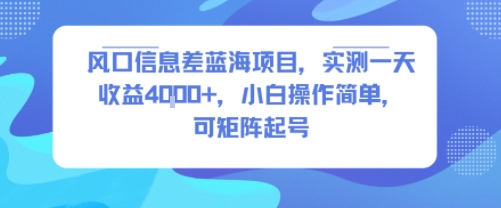 风口信息差蓝海项目,实测一天收益4k+,小白操作简单,可矩阵起号-富爸爸项目圈