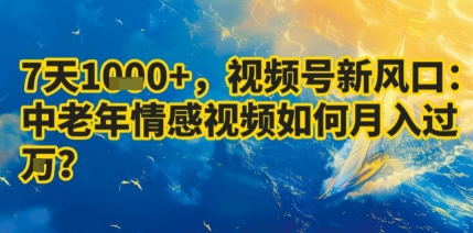 7天收益1k+,视频号新风口:中老年情感视频如何月入过W?-富爸爸项目圈