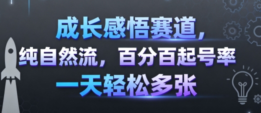 成长感悟赛道,纯自然流,百分百起号率 一天轻松多张-富爸爸项目圈