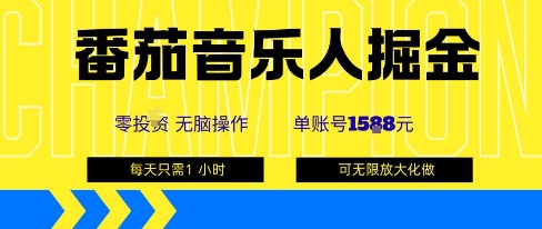 番茄音乐人掘金,单账号最高可撸1k+,可无限矩阵去做,零投入-富爸爸项目圈