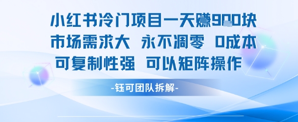 小红书冷门项目一天收益9张,市场需求大,0成本,可复制性强可以矩阵操作-富爸爸项目圈