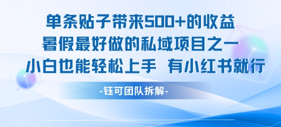 单条贴子带来5张的收益,暑假最好做的私域项目之一,小白也能轻松上手,有小红书就行-富爸爸项目圈