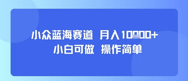 小众蓝海赛道,小白可做,操作简单,每天30分钟,月入1W+-富爸爸项目圈
