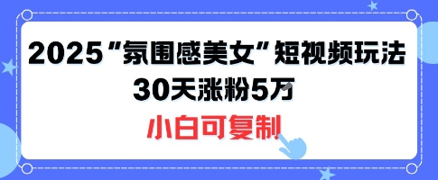 不露脸也能火!2025“氛围感美女”短视频玩法,30天涨粉5W小白可复制-富爸爸项目圈
