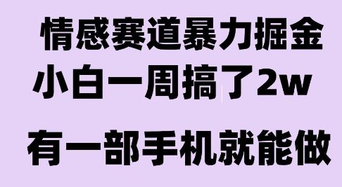 情感暴力掘金项目,新人操作一周挣了2W,长期稳定小白可做【揭秘】-富爸爸项目圈
