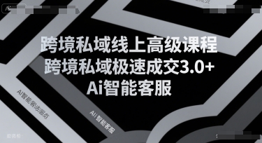 跨境私域线上高级课程,跨境私域极速成交3.0+Ai智能客服-富爸爸项目圈