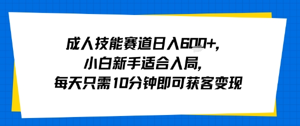 成人技能赛道日入多张,小白新手适合入局,每天只需10分钟即可获客变现-富爸爸项目圈