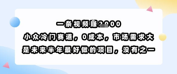 一条视频挣1k,小众冷门赛道,0成本,市场需求大,是未来半年最好做的项目,没有之一-富爸爸项目圈