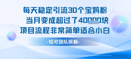 每天稳定引流30个人 当月变成超过了4个W项目流程非常简单适合小白-富爸爸项目圈