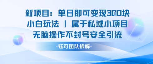 新项目单日即可变现3张的小白玩法无脑操作不封号安全引流-富爸爸项目圈