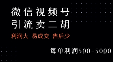 视频号卖二胡教程,利润大 易成交 售后少,一单利润5张+-富爸爸项目圈