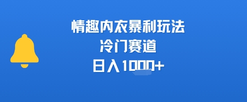 情趣内衣暴利玩法,冷门赛道,日入1k+-富爸爸项目圈