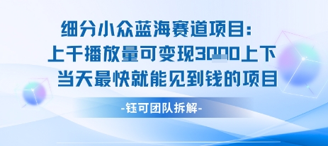 小众蓝海赛道项目:当天变现1k+适合新手操作 +适合长期玩-富爸爸项目圈