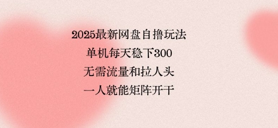 2025最新网盘自撸玩法,单机每天稳下3张,无需流量和拉人头,一个人就可轻松矩阵,全网独一份【揭秘】-富爸爸项目圈