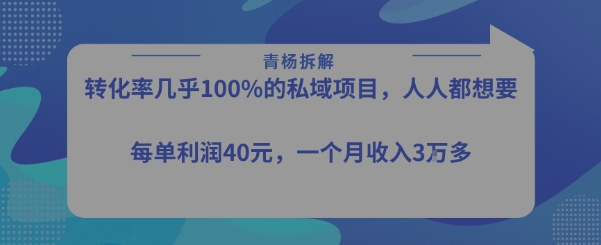转化率最高的私域项目,每单利润40-50米,月入过1w-富爸爸项目圈