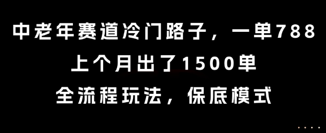 中老年赛道冷门路子,一单788,上个月出了1500单,全流程玩法,保底模式【揭秘】-富爸爸项目圈