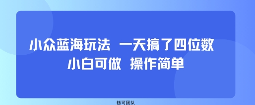 小众蓝海玩法 一天搞了四位数 小白可做 操作简单-富爸爸项目圈