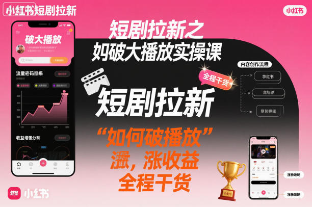 短剧拉新之小红书如何破大播放实操课,如何破播放,涨收益,全程干货-富爸爸项目圈