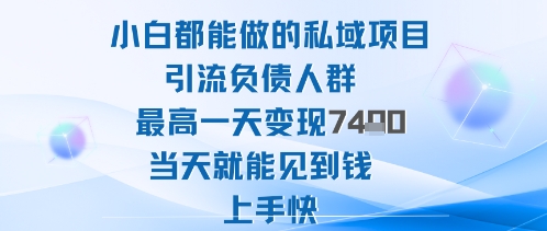 2025年小白都能做的私域项目引流负债人群最高一天变现1k+高变现难度低当天就能见到钱上手快-富爸爸项目圈