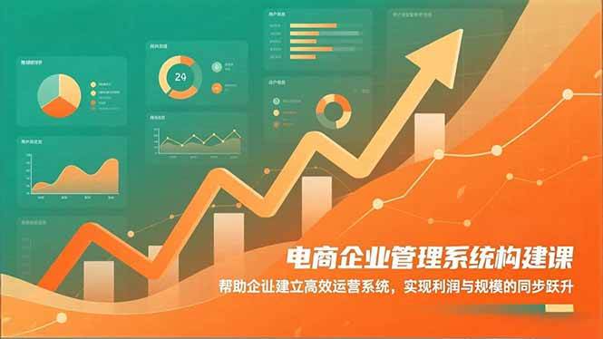 (16643期)电商企业管理系统构建课:帮助企业建立高效运营系统,实现利润与规模的同步跃升-富爸爸项目圈
