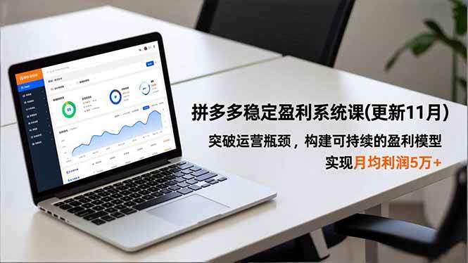 (16641期)拼多多稳定盈利系统课(更新11月),突破运营瓶颈,构建可持续的盈利模型,实现月均利润5万+-富爸爸项目圈