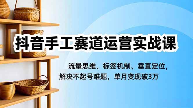 (16667期)抖音手工赛道运营实战课,流量思维、标签机制、垂直定位,解决不起号难题,单月变现破3万-富爸爸项目圈