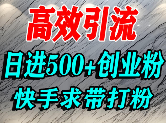 怎么打创业粉?快手求带视角精准引流创业粉,宝妈、学生群体日进500+精准流量-富爸爸项目圈