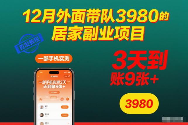 12月外面带队3980的居家副业项目,一部手机实测3天到账9张+,首发教程【揭秘】-富爸爸项目圈