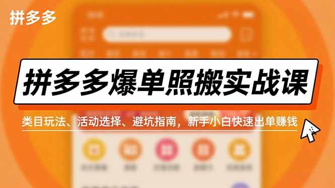 (16838期)拼多多爆单照搬实战课,类目玩法、活动选择、避坑指南,新手小白快速出单赚钱-富爸爸项目圈