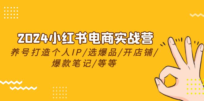 2024小红书电商实战营，养号打造IP/选爆品/开店铺/爆款笔记/等等（24节）-富爸爸项目圈