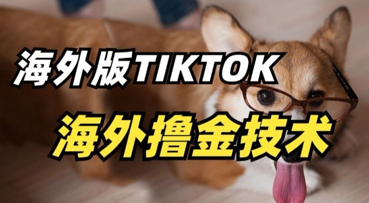 抖音海外版tiktok撸金技术，这个风口行业，赚钱真的不难【揭秘】-富爸爸项目圈