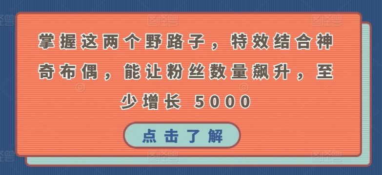 掌握这两个野路子，特效结合神奇布偶，能让粉丝数量飙升，至少增长 5000【揭秘】-富爸爸项目圈