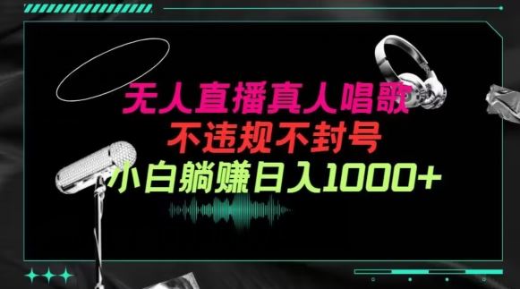 抖音24小时无人直播音乐，不违规，不封号纯撸音浪，小白实操当天日入1000+【揭秘】-富爸爸项目圈