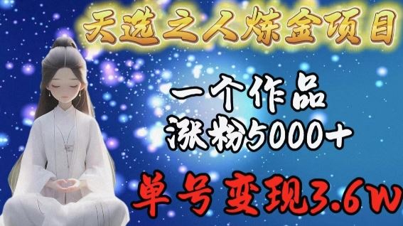 天选之人炼金项目，一个作品涨粉5000+，单号变现3.6w【揭秘】-富爸爸项目圈