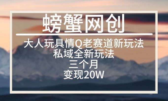 大人玩具情Q用品赛道私域全新玩法，三个月变现20W，老项目新思路【揭秘】-富爸爸项目圈