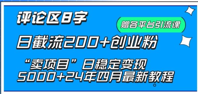 抖音评论区8字日截流200+创业粉 “卖项目”日稳定变现5000+【揭秘】-富爸爸项目圈