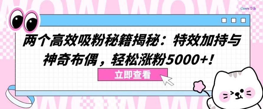 两个高效吸粉秘籍揭秘：特效加持与神奇布偶，轻松涨粉5000+【揭秘】-富爸爸项目圈