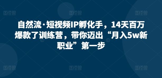 自然流·短视频IP孵化手，14天百万爆款了训练营，带你迈出“月入5w新职业”第一步-富爸爸项目圈