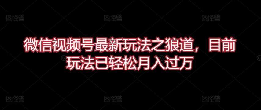 微信视频号最新玩法之狼道，目前玩法已轻松月入过万【揭秘】-富爸爸项目圈